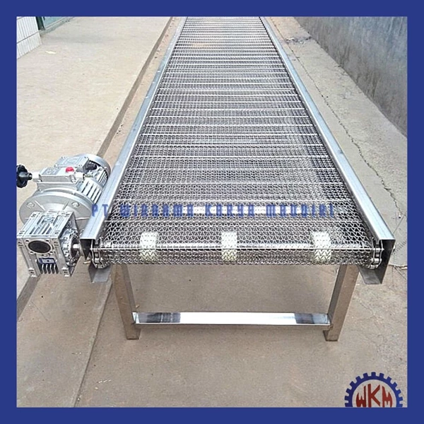 Chain Conveyor CC -002 WKm